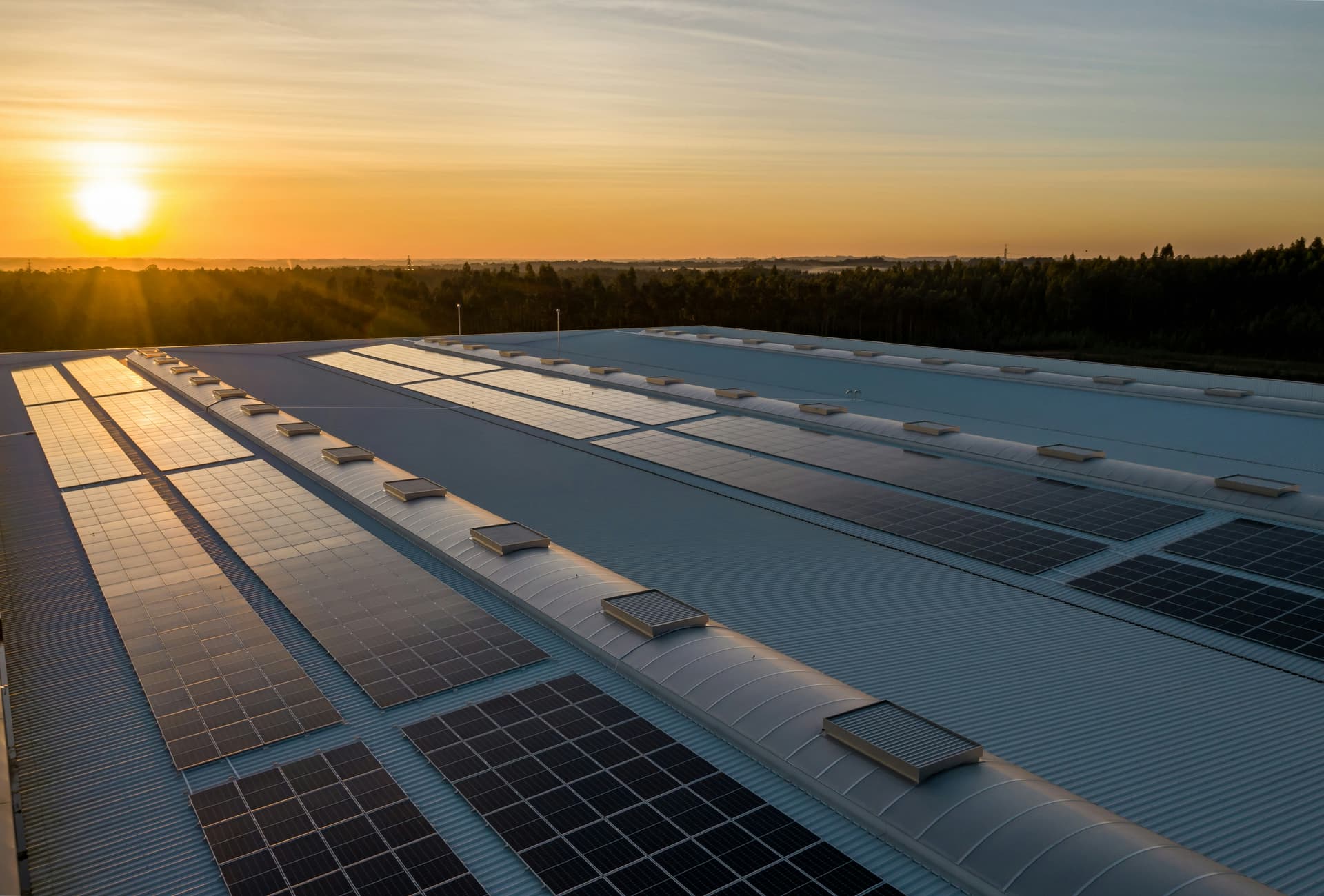5 Common Myths About Solar Energy (And the Real Truth)