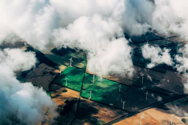 How Solar Panels Work: A Beginner’s Guide