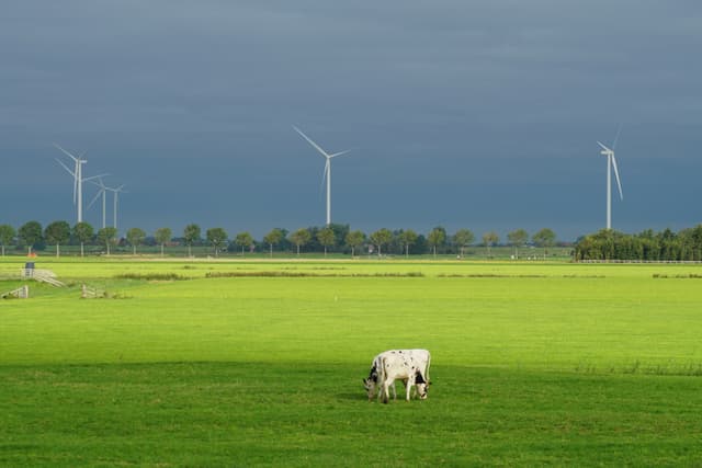 How to Maintain Your Solar Installation Year-Round