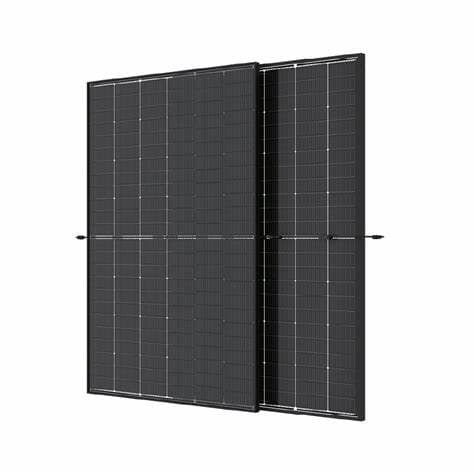 Trina Solar 600W Bifacial